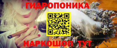 эйфоретик Владивосток