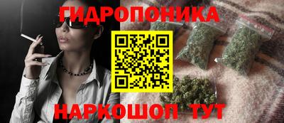 эйфоретик Владивосток