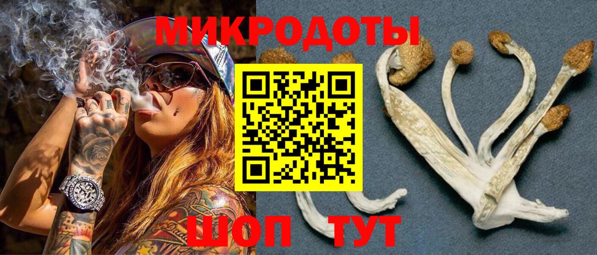 Галлюциногенные грибы ЛСД Азнакаево